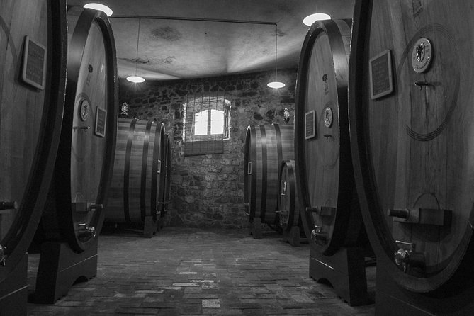 Day Trip From La Spezia Pier: San Gimignano and Wine Tasting - Private Tour - Transportation Details