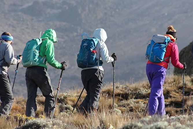 Day Trip Kilimanjaro Shira Plateau From Moshi - Inclusions and What to Expect