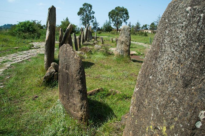 Day Trip to Adadi Mariyam, Tiya and Melka Kunture - Inclusions and What to Expect