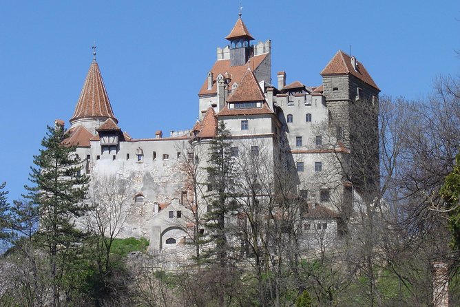 Daytour to Bran "Dracula'S" Castle + Peles Castle + Wine Tasting at Azuga Cellar - Discovering Peles Castle