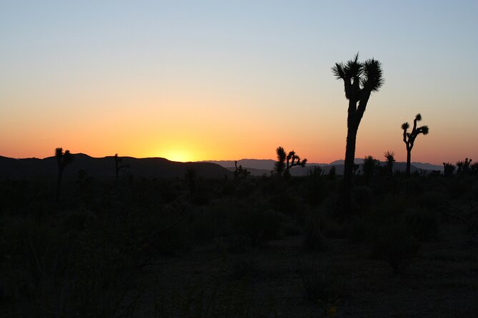 Death Valley Small Group Day Tour With Sunset and Stargazing - Inclusions