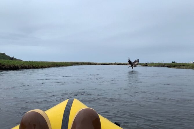 Deep Creek 1/2 Day Packraft Tour - Meeting and Pickup Details