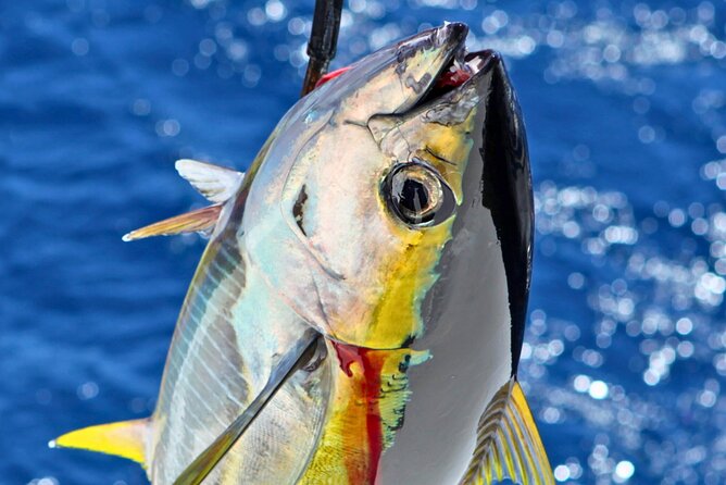 Departing From Onna Village (Maeda Fishing Port)! Fishing Experience/Trolling | Complete Boat Charter Plan (4 Hour Course/7 Hour Course) - Inclusions and Preparations