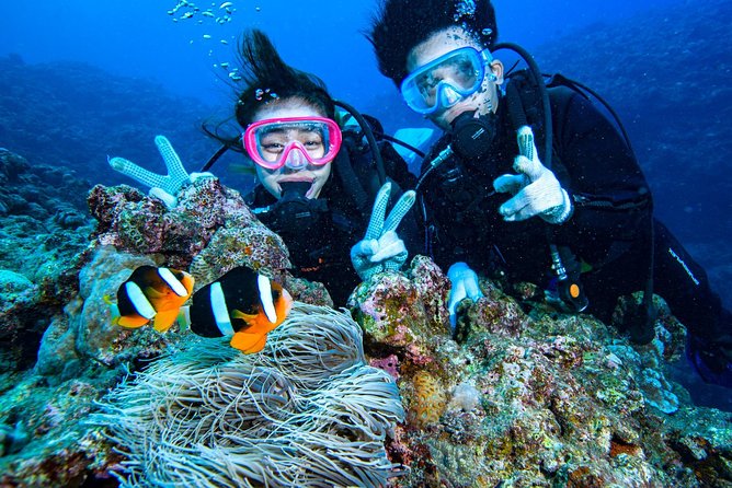Departing From Onna Village (Maeda Fishing Port)! Minna Island Snorkel & Trolling Experience | Completely Reserved Boat Charter Plan (7 Hours Course) - Whats Included
