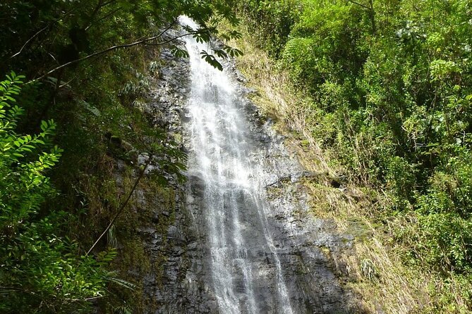 Diamond Head and Manoa Falls Hike and Adventure Tour - Highlights of the Experience