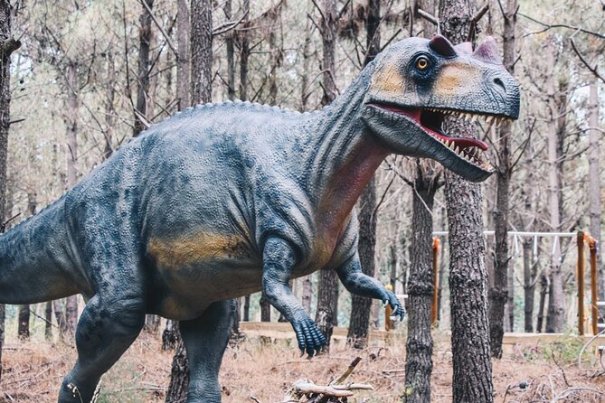 Dinosaurs Park - Family Half Day Tour - Accessibility and Additional Details