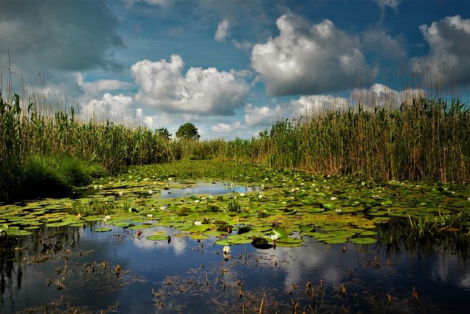 Discover Danube Delta From Bucharest - Private Tour for 5 Days - Pickup and Schedule