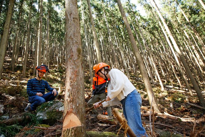 Discover Foresters Life Tour (1-Day) - Tour Details