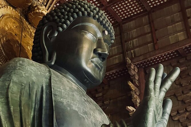 Discover Nara and Kyoto in 4-Day Tour With a Local Guide - Pickup and Start Time