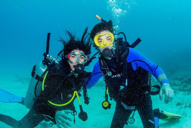 Discover Scuba Diving at Cozumel Marine Park - Pricing Details