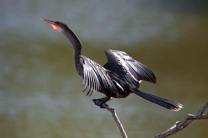 Discover the Rainforest - Destination Highlights