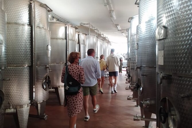 Discover Valle D Itria and Its Wines by Ebike - Participation Requirements