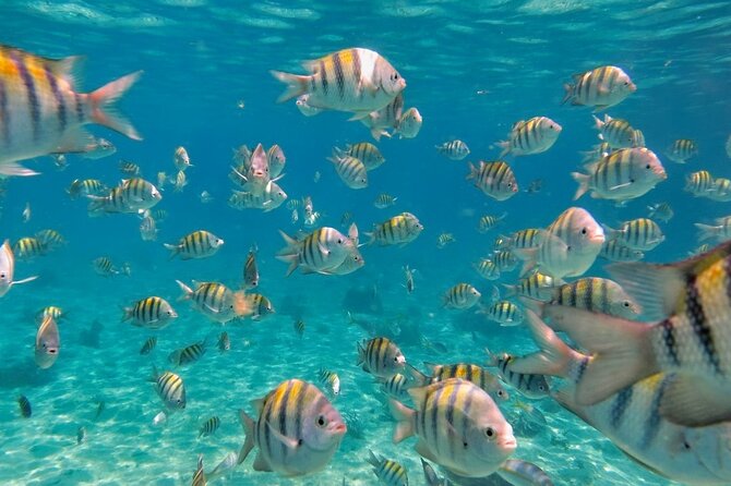 Discovering Isla Mujeres on a Double Decker Catamaran - Meeting and Pickup Information