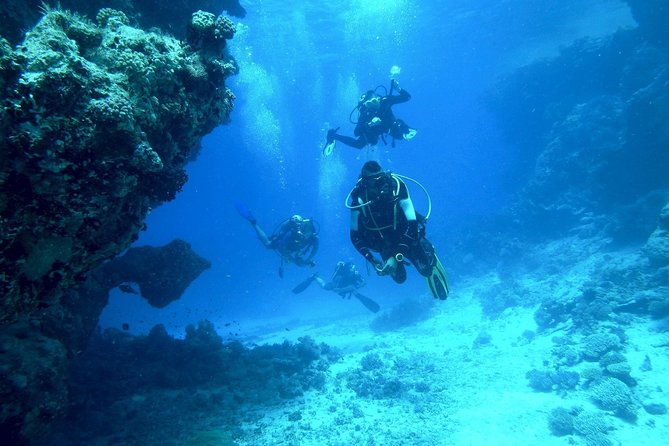 Diving Baptism - Scuba Diving Equipment