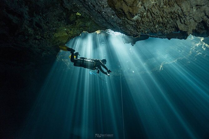 Diving in Cenotes: Discovering the Mayan Underworld - The Diving Experience