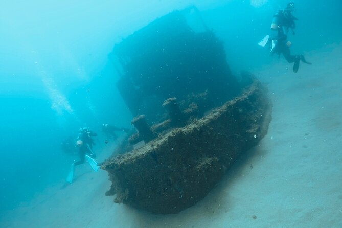 Diving in Kansai, Japan for License Holders - Tour Inclusions
