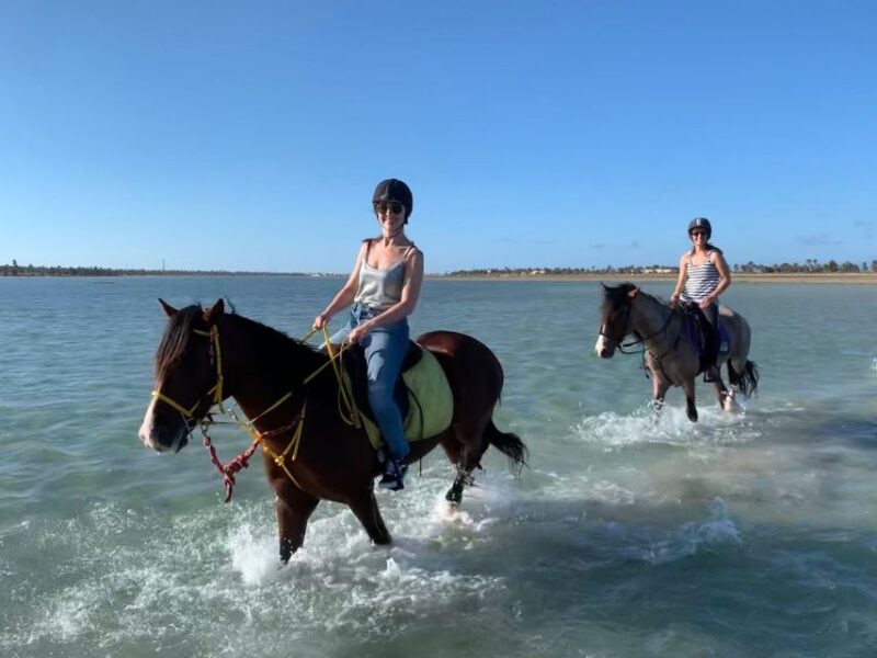 Djerba: 2-Hour Lagoon Horse Riding Experience - Booking and Availability