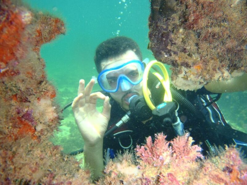 Djerba: Introductory Scuba Diving Session - Booking Information
