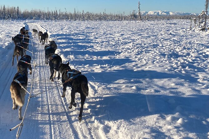 Dog Sledding With Alaskan Huskies Review - Location and Accessibility