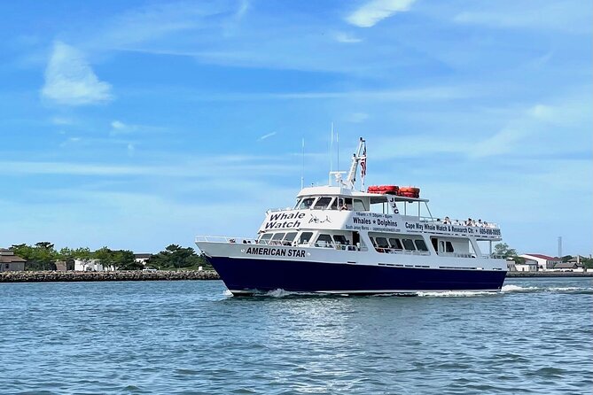 Dolphin and Bird Watching Ecotour Cruise - Wildlife Sightings and Marine Education