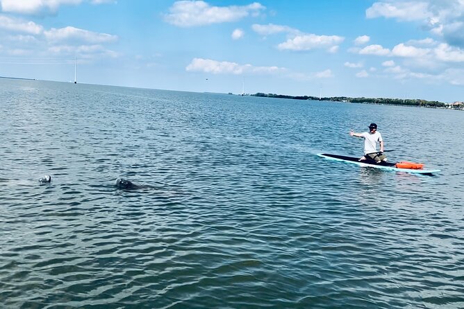 Dolphin and Manatee Adventure Tour of Merritt Island - Inclusions and Accessibility
