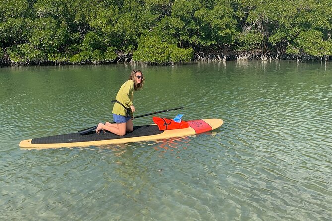 Dolphin and Manatee Adventure Tour of Naples With Florida History - Traveler Reviews and Feedback