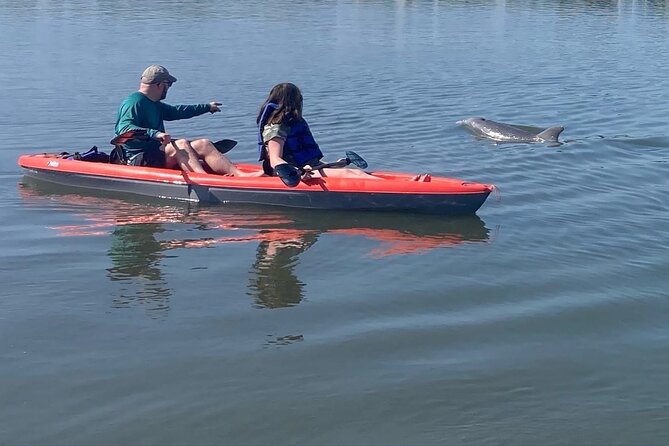 Dolphin and Manatee Adventure Tour of Osprey With Florida History - Exploring the Mangrove Islands of Little Sarasota Bay