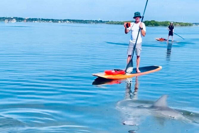 Dolphin and Manatee Kayak and SUP Adventure Tour of Cocoa Beach - Wildlife Observation and Education