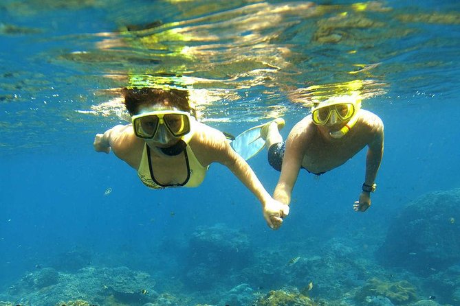 Dolphin House Royal Sea Trip Luxury Boat With Transfer - Hurghada - Inclusions and Amenities