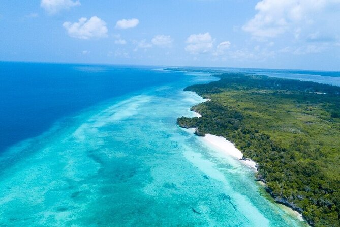 Dolphin & Josani Forest Snorkel Sea Excursion - Zanzibar - Whats Included in the Tour
