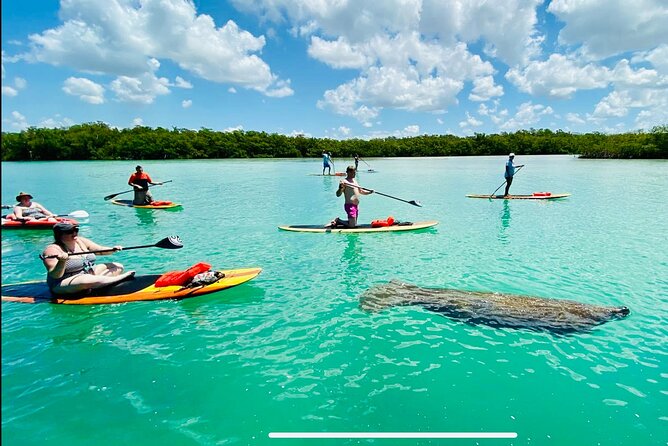 Dolphin, Manatee and Sea Turtle Adventure Tour Review - Included in Tour
