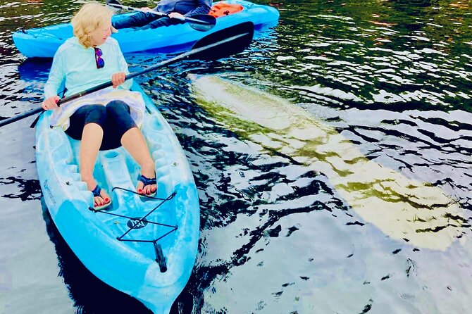 Dolphin, Manatee and Sea Turtle Kayak Adventure - Tour Inclusions