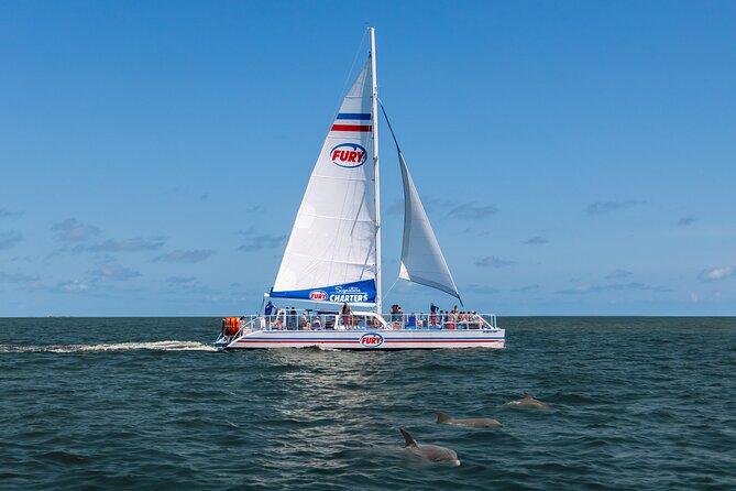 Dolphin Watch & Historical Harbor Tour in St. Augustine - Tour Inclusions
