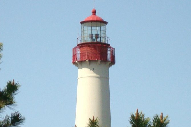 Dolphin Watching Around Cape May - Tour Details and Inclusions