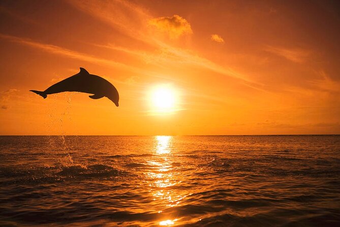 Dolphin Watching Boat Tour Around Anna Maria Island - Key Inclusions in the Tour Package