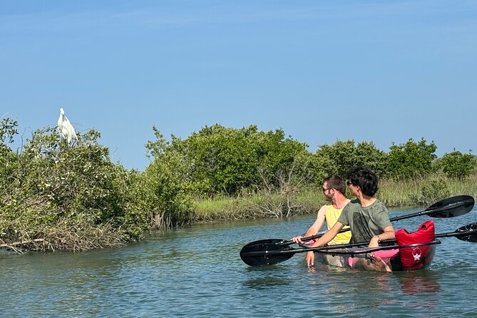 Dolphins and Wildlife Ecotour - Inclusions and Amenities