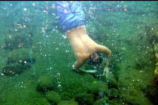 Dominica: Champagne Snorkel and Beach Escape - (RT Shuttles) - Transportation and Pickup
