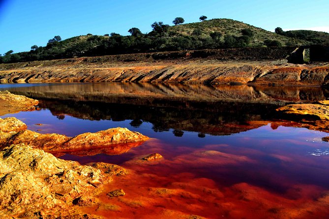 Doñana Natural Park Full-Day Tour From Seville - Customer Experience