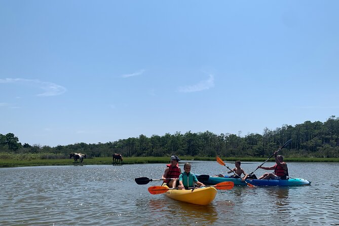 Double Sit on Top Kayak Rental Review - Entrance Fees
