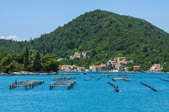Dubrovnik: Ston Wine and Oyster Tasting - Wine and Oyster Tasting