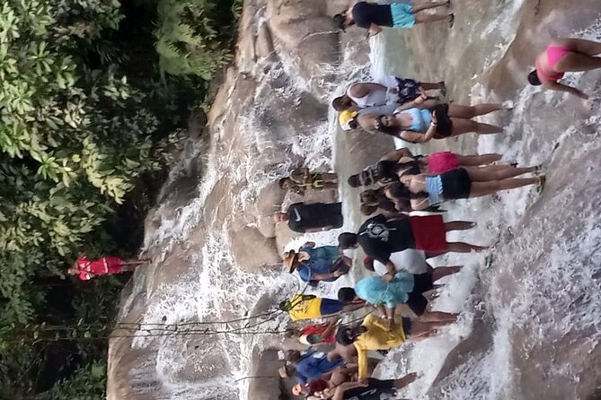 Dunns River Falls From Falmouth - Starting Your Tour