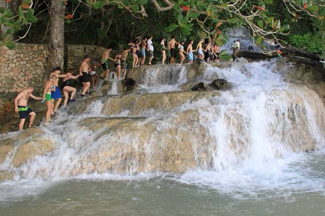 Dunns River Falls, Zipline, Bamboo Rafting & Horseback Tour - Thrilling Zipline Adventure