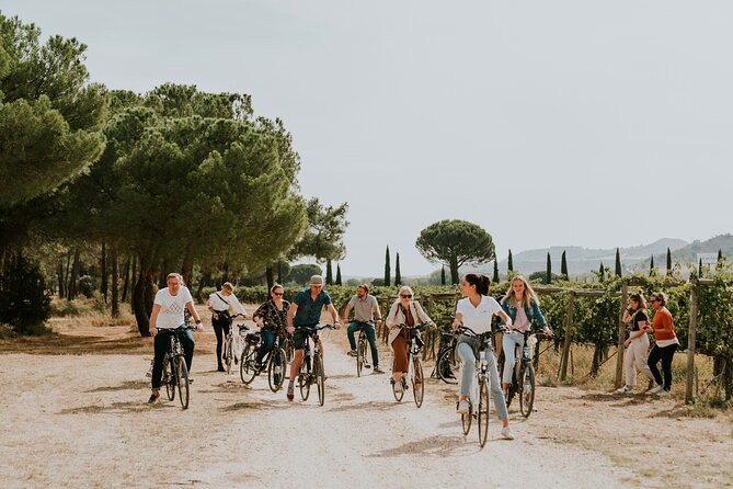 E-Bike Tour & Picnic in an Exclusive Winery Estate in Valladolid - Scenic Route Through the Vineyard