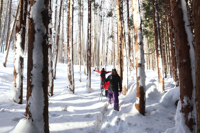 【5 Minutes From Water Ic】 Snow Trekking Half-Day Tour to Enjoy Japanese Snowscapes - Whats Included