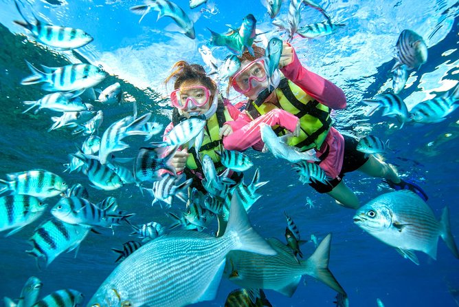 Easily Set Sail by Boat! / Blue Cave Snorkel - Why Choose the Blue Cave Snorkel