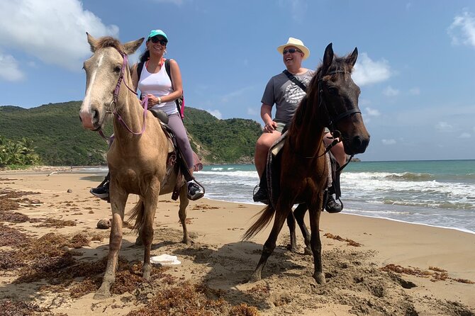 East Coast Horseback Riding, Waterfall & Soufriere Private Tour - Itinerary Overview