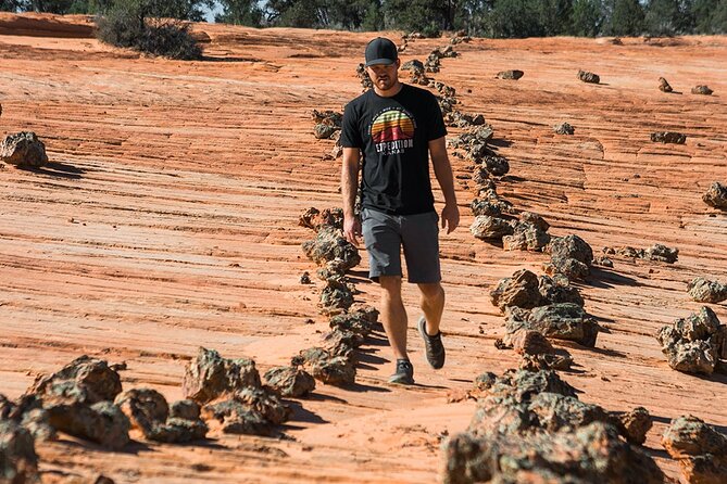 East Zion Outback UTV Tour With Licensed Guide - Meeting Location and Check-in Details