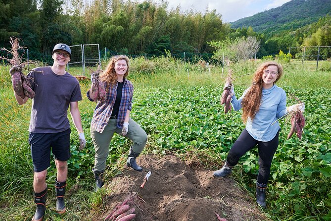 Eco Focused Cycling and Crafts Tour in Kameoka 1 Day - Included Experiences