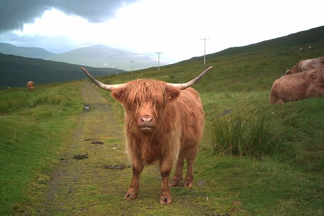Edinburgh: Private Loch Ness Glencoe and The Highlands Tour - Pickup and Transportation Details