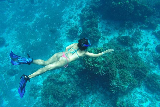 El Cielo and Snorkel Private Excursion - Meeting and Departure